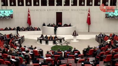 DEM Parti İstanbul Milletvekili Çiçek Otlu, bütçe görüşmelerinde "Reel ekonomi