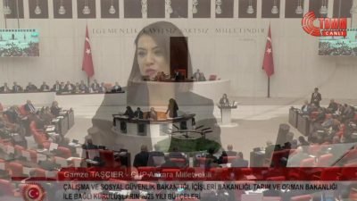 CHP Genel Başkan Yardımcısı ve Ankara Milletvekili Gamze Taşcıer, TBMM