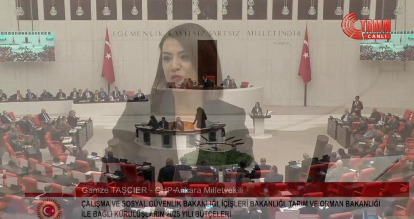 CHP Genel Başkan Yardımcısı ve Ankara Milletvekili Gamze Taşcıer, TBMM
