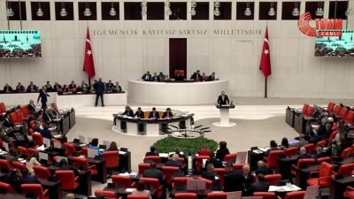 MHP Samsun Milletvekili İlyas Topsakal, TBMM Genel Kurulu bütçe görüşmelerinde