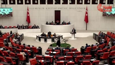 Saadet-Gelecek Grubu Grup Başkanvekili İsa Mesih Şahin, Milli Savunma Bakanlığı'nın