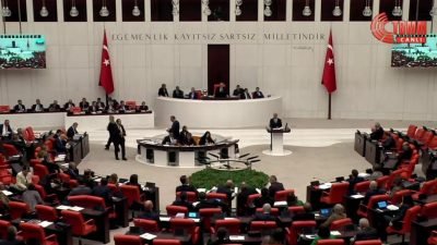 TBMM Genel Kurulu'ndaki bütçe görüşmelerinde konuşan DEM Parti Urfa Milletvekili Mithat Sancar,