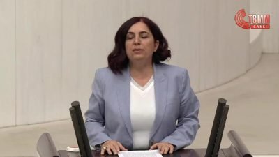 TBMM Genel Kurulu bütçe görüşmelerinde konuşan DEM Parti Diyarbakır Milletvekili Sevilay