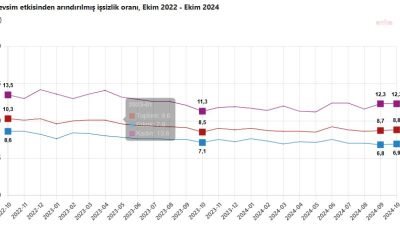 Türkiye İstatistik Kurum'nun (TÜİK), Ekim ayına ilişkin işgücü istatistiklerine göre,