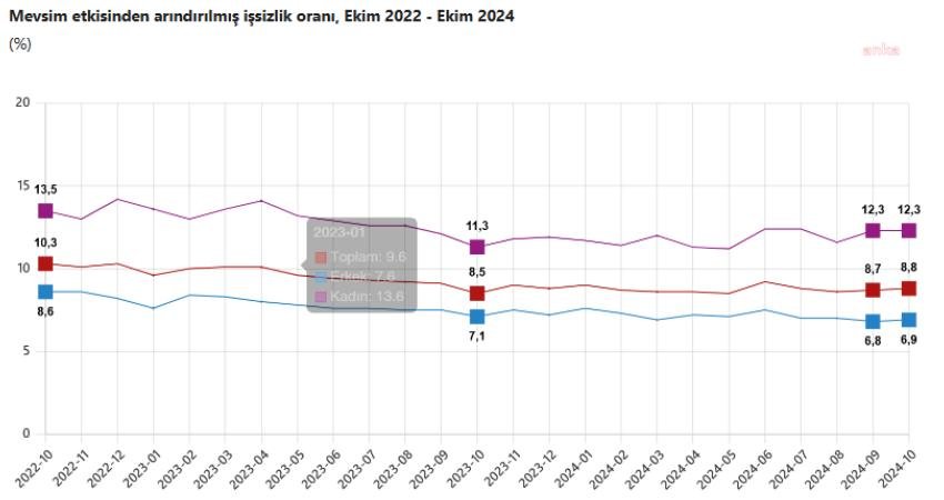 Türkiye İstatistik Kurum'nun (TÜİK), Ekim ayına ilişkin işgücü istatistiklerine göre,