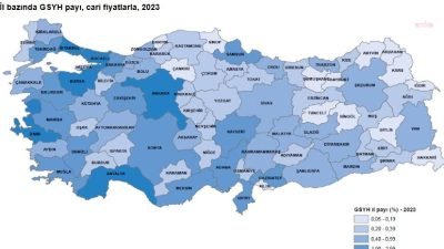 Türkiye İstatistik Kurumu (TÜİK), 2023 yılına ait “İl Bazında Gayrisafi