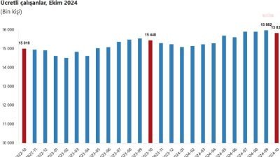 Türkiye İstatistik Kurumu (TÜİK), ekim ayına ait ücretli çalışan istatistikleri