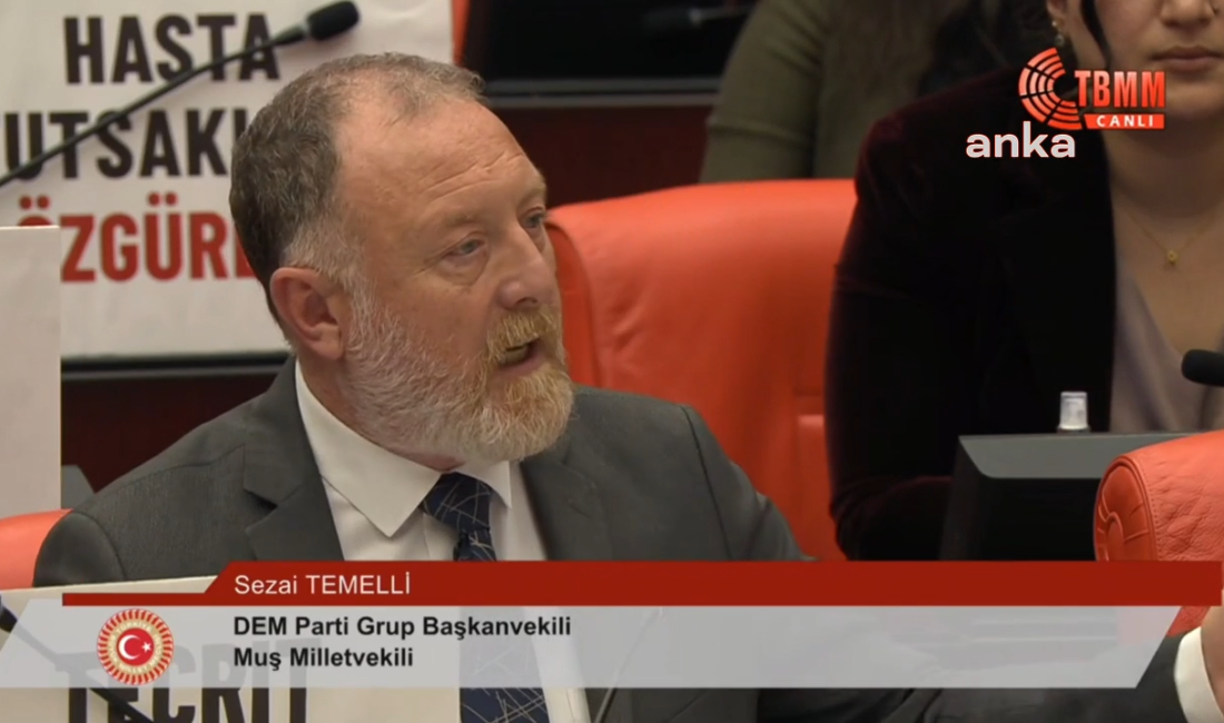 TBMM Genel Kurulu'nda 2025 yılı bütçe görüşmelerinde konuşan DEM Parti Grup