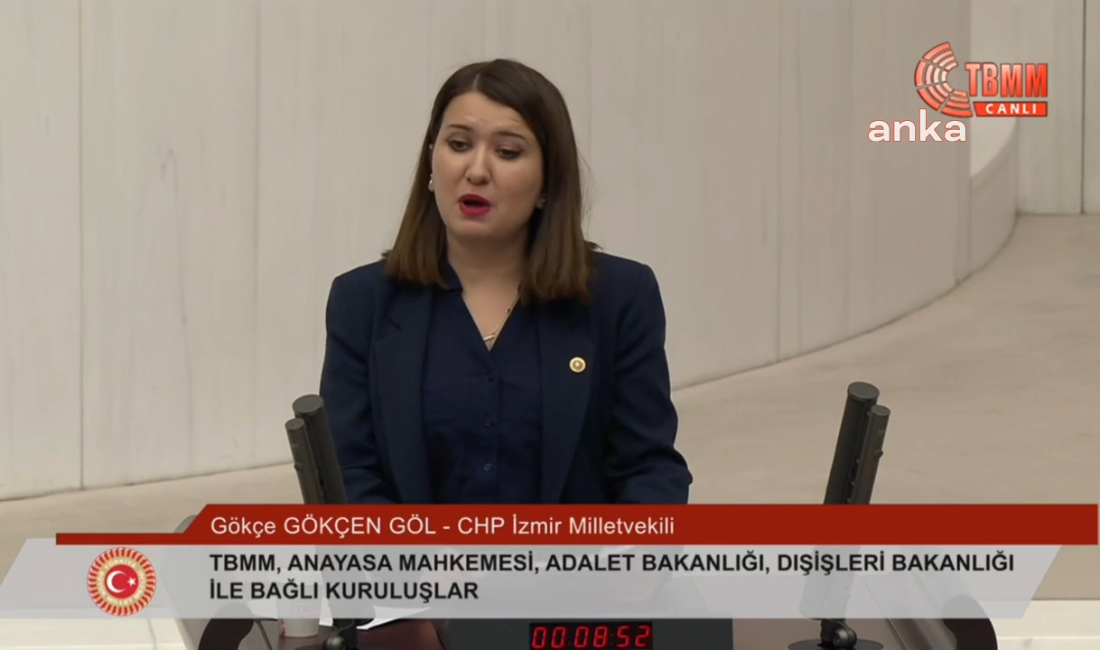 CHP Genel Başkan Yardımcısı Gökçe Gökçen, 2025 yılı bütçe görüşmelerinde,