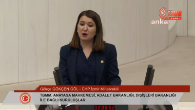 CHP Genel Başkan Yardımcısı Gökçe Gökçen, 2025 yılı bütçe görüşmelerinde,