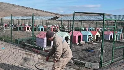 Yozgat Belediye Başkanı Kazım Arslan, sokak hayvanlarının doğal ortamlarda yaşamlarını sürdürmesi