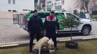 Yozgat İl Jandarma Komutanlığı Çevre Doğa ve Hayvanları Koruma Timi