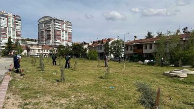 Yenimahalle Belediyesi, bahar döneminin başlamasıyla birlikte yeşil alanların bakımı ve