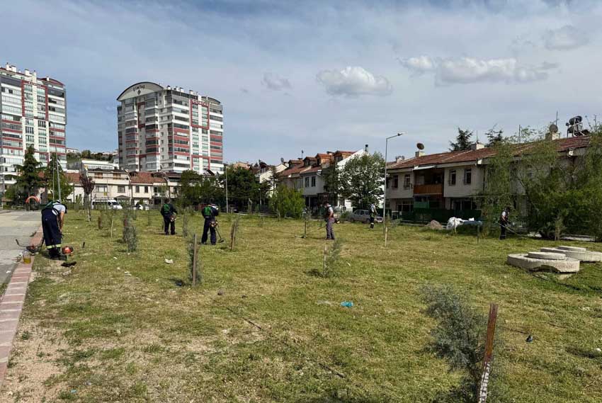 Yenimahalle Belediyesi, bahar döneminin başlamasıyla birlikte yeşil alanların bakımı ve