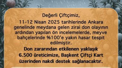 Ankara Büyükşehir Belediyesi, 11-12 Nisan günlerinde şehir genelinde etkili olan
