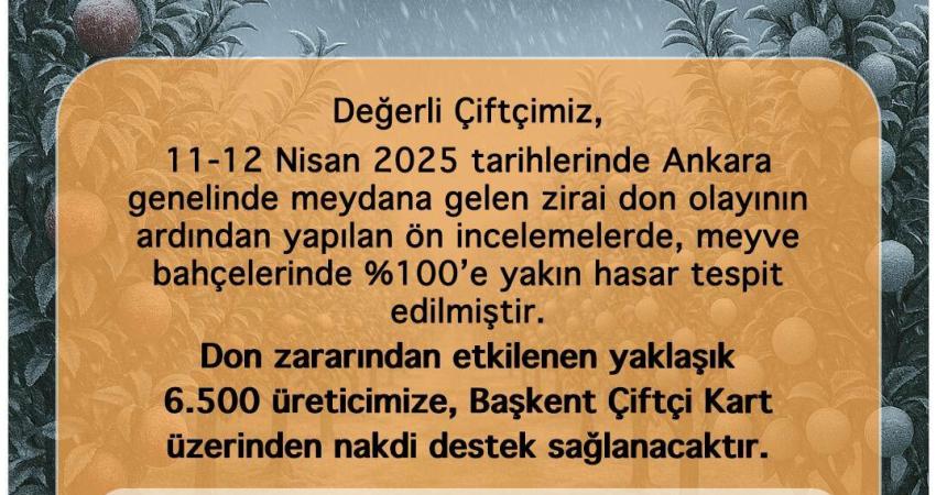 Ankara Büyükşehir Belediyesi, 11-12 Nisan günlerinde şehir genelinde etkili olan