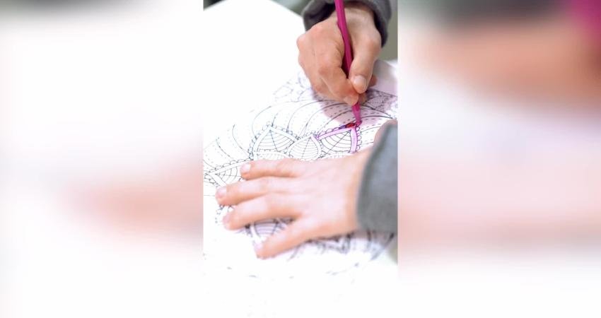 Beşiktaş Belediyesi, Engelliler Haftası kapsamında özel bireylere ve ailelerine yönelik