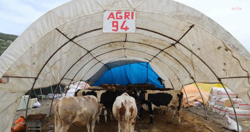 Çankaya Belediyesi, Yeşilkent Mahallesi’ne (Mühye) kurduğu kurban satış ve kesim