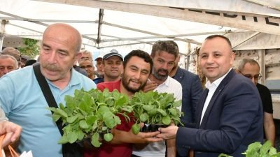 Türkiye genelinde olduğu gibi Amasya’da da zirai dondan etkilenen çiftçilere
