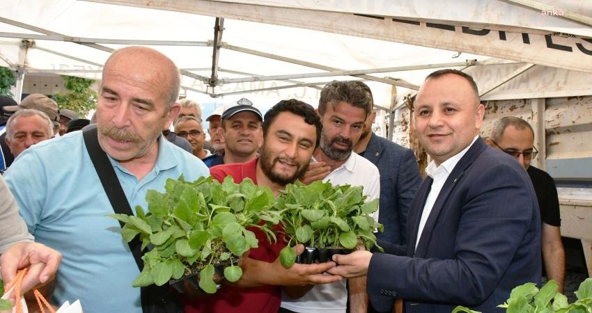 Türkiye genelinde olduğu gibi Amasya’da da zirai dondan etkilenen çiftçilere