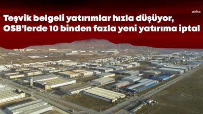 Bu yılın ilk çeyreğine ilişkin büyüme hızı verileri tarımın çöküş