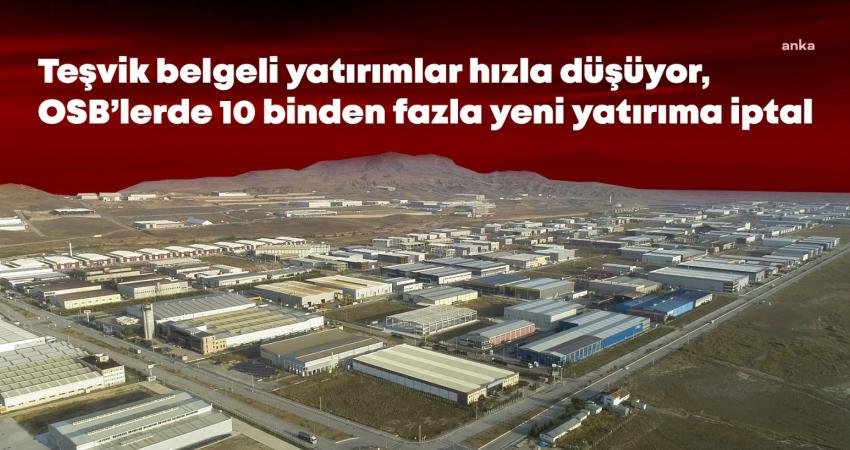 Bu yılın ilk çeyreğine ilişkin büyüme hızı verileri tarımın çöküş