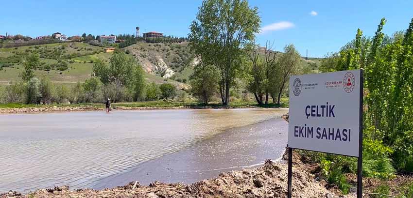 Kızılcahamam’da 40 yıllık sessizlik bozuldu: “Çeltikçi Pirinci” yeniden toprakla buluştu Ankara’nın Kızılcahamam ilçesinde, bir zamanlar bölgenin simgelerinden biri olan yerli