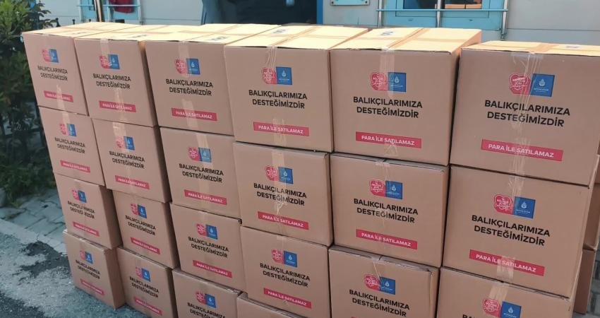 İstanbul Büyükşehir Belediyesi (İBB) ve Şile Belediyesi iş birliğiyle 81
