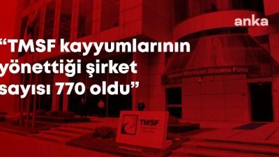 Tasarruf Mevduatı Sigorta Fonu (TMSF) tarafından el konulup kayyum atanan