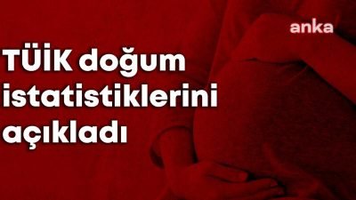 Türkiye İstatistik Kurumu'nun (TÜİK), 2024 yılına ilişkin Doğum İstatistiklerine göre, 15-49