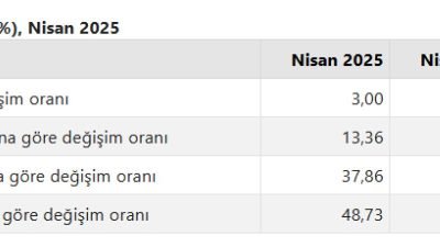 Türkiye İstatistik Kurumu (TÜİK) Nisan 2025 itibarıyla aylık enflasyonun yüzde