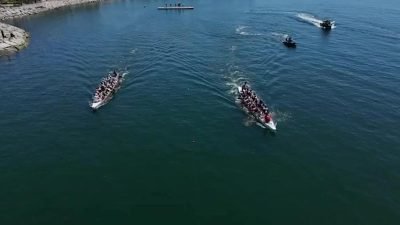 Tuzla Belediyesi, İlçe Milli Eğitim Müdürlüğü ve Tuzla Deniz Yıldızı