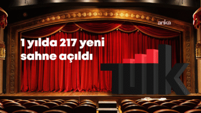 Türkiye İstatistik Kurumu (TÜİK) 2024 yılı verilerine göre, 2023 –