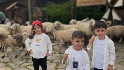 Altınköy Açık Hava Müzesi köy meydanında geleneksel koyun kırkma töreni