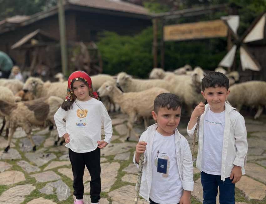 Altınköy Açık Hava Müzesi köy meydanında geleneksel koyun kırkma töreni