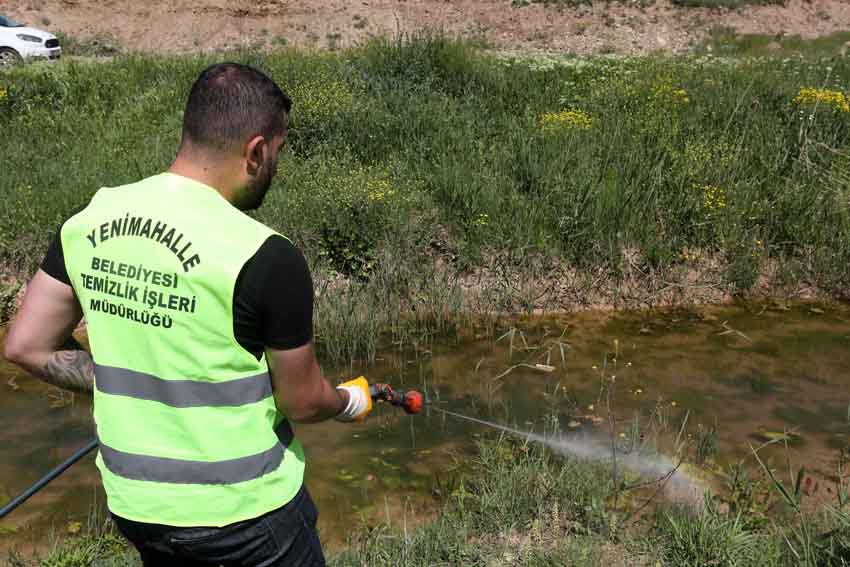 Yenimahalle Belediyesi, havaların ısınması ile birlikte ortaya çıkan sinek, böcek