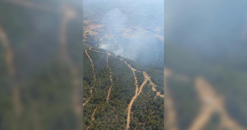 Manisa’nın Alaşehir ilçesine bağlı Badınca Mahallesi'nde sabah saatlerinde çıkan orman