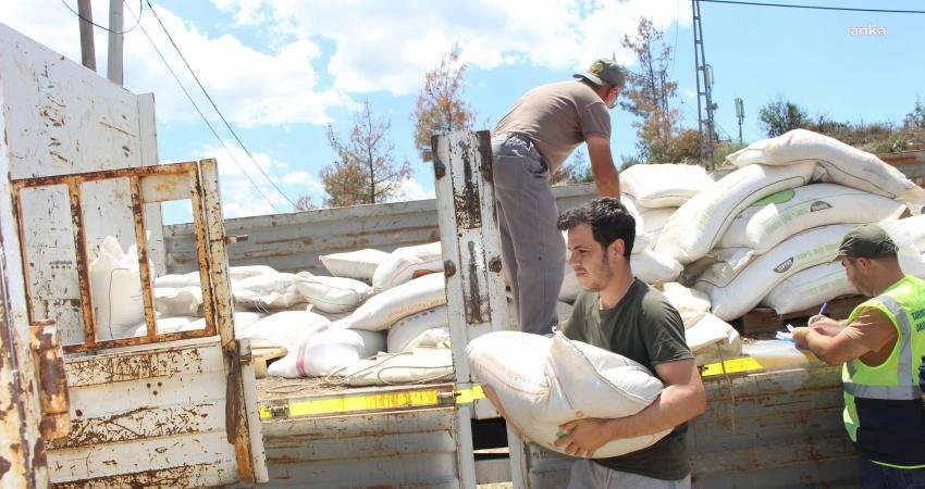 Antalya Büyükşehir Belediyesi, geçen aylarda yaşanan dolu afeti nedeniyle ürünleri