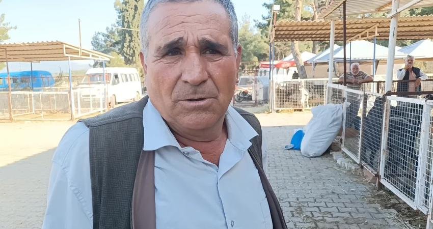 Her sene Karacasu'ya hayvan pazarına kurbanlık getiren 65 yaşındaki Yücel