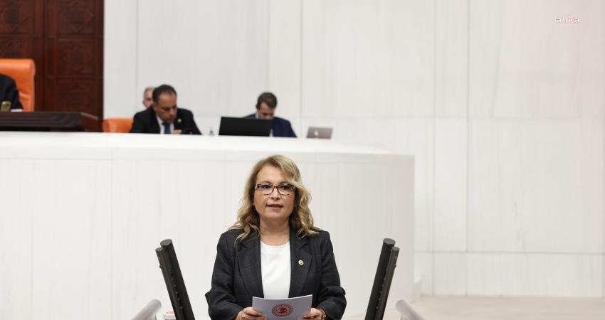 Milli Eğitim Bakanı Yusuf Tekin, CHP İstanbul Milletvekili Ayşe Sibel