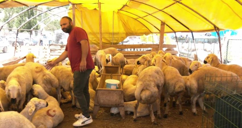 Kurban Bayramı arifesinde Ankara’daki Mühye Köyü’nde kurulan kurban pazarında geçtiğimiz
