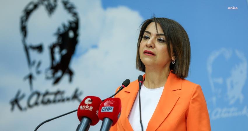 CHP Genel Başkan Yardımcısı Gamze Taşcıer, TÜİK'in açıkladığı enflasyon verilerine
