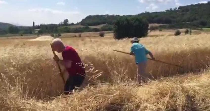 CHP Tokat Milletvekili Kadim Durmaz, Toprak Mahsulleri Ofisi (TMO) tarafından