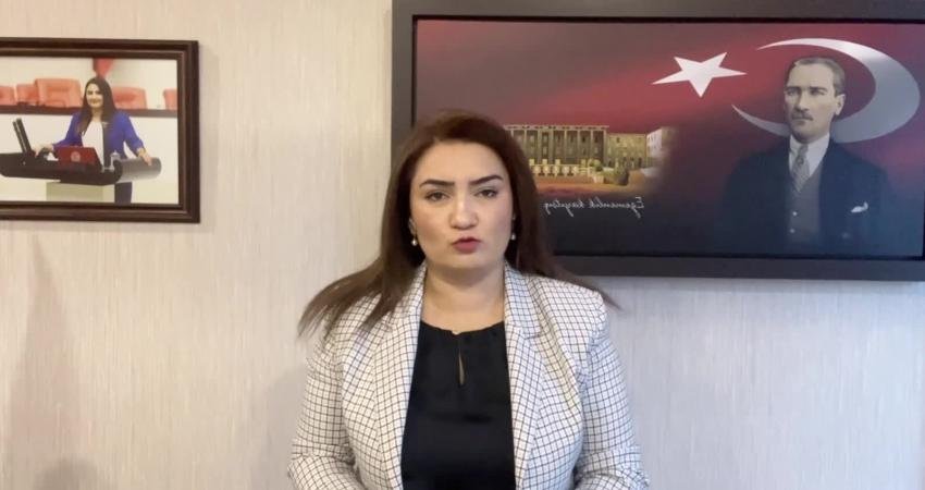 CHP İzmir Milletvekili Sevda Erdan Kılıç, enerji ve maden alanlarına