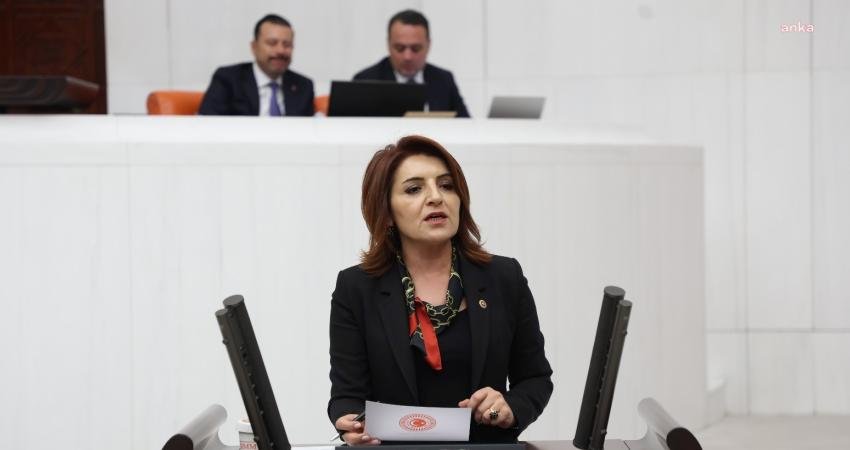 CHP Mersin Milletvekili Gülcan Kış, “2018’de bin liraya 6 gram