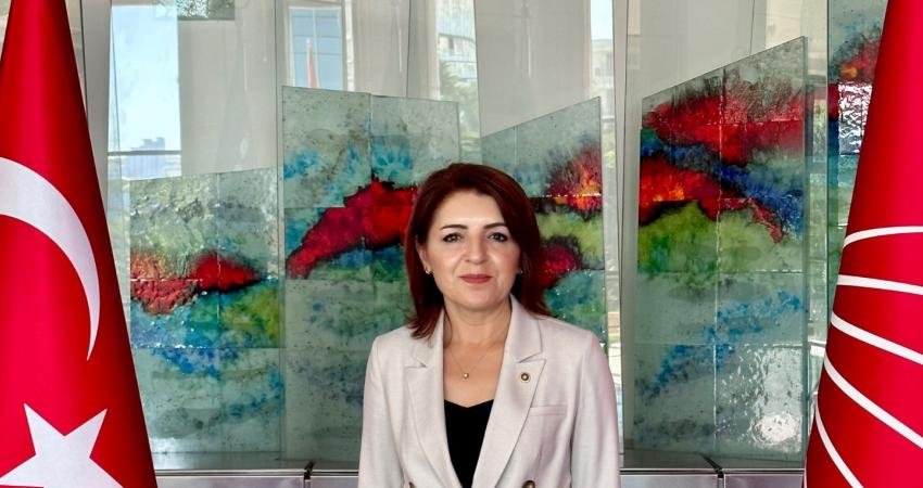 CHP Mersin Milletvekili Gülcan Kış, “Hani nerede kaldı sizin sözde