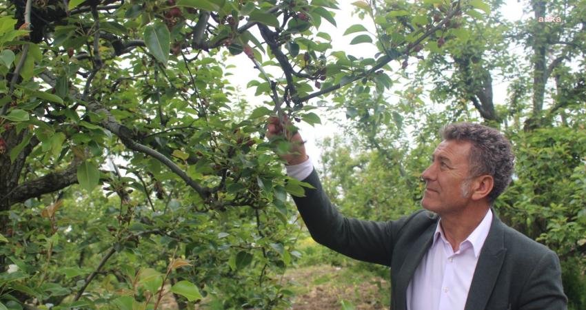 CHP Bursa Milletvekili Orhan Sarıbal, nisan ayında yaşanan ve son