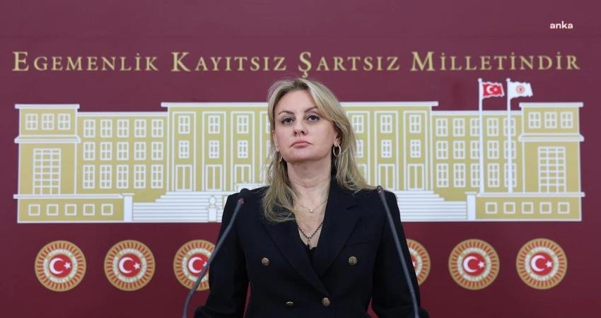 CHP İzmir Milletvekili Seda Kaya Ösen, Ticaret Bakan Yardımcısı Mahmut