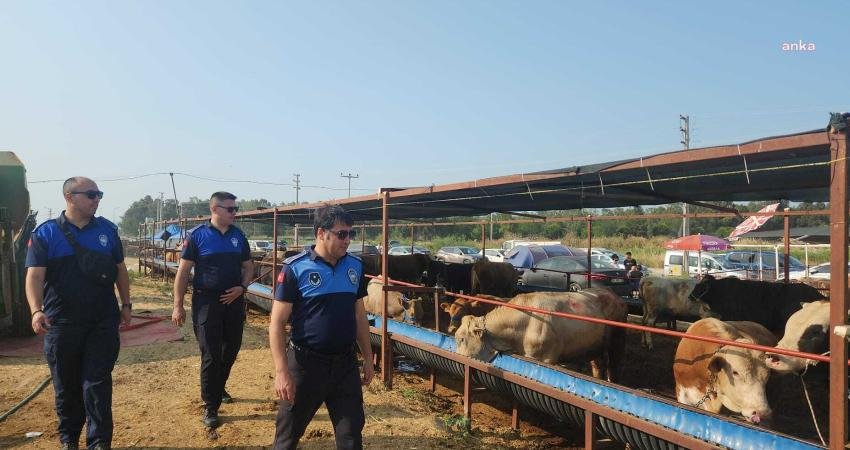 Çiğli Belediyesi Zabıta Müdürlüğü ile İlçe Kurban Komisyonu ekipleri, Kurban