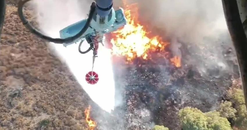 İzmir’in Dikili ilçesine bağlı Çandarlı Mahallesi’nde bugün saat 17.45’te orman